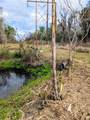 1142 Doc Coil Road - Photo 24