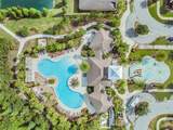 32699 Dashel Palm Lane - Photo 43