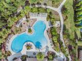 32699 Dashel Palm Lane - Photo 44