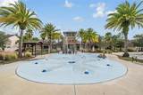 32699 Dashel Palm Lane - Photo 47