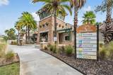 32699 Dashel Palm Lane - Photo 49