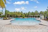 32699 Dashel Palm Lane - Photo 51