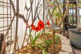 3945 Poinsettia Drive - Photo 13