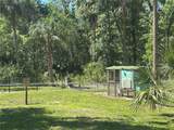 462 Dew Plant Point - Photo 38