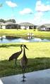 10583 Tupper Cay Drive - Photo 27