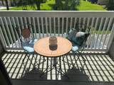 7298 Ulmerton Road - Photo 24