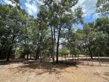 11000 Kitten Trail - Photo 15