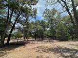 11000 Kitten Trail - Photo 22