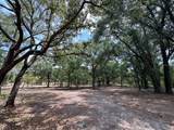 11000 Kitten Trail - Photo 23