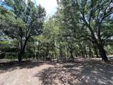 11000 Kitten Trail - Photo 25