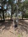 11000 Kitten Trail - Photo 28