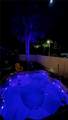 4142 Yellowwood Drive - Photo 13