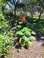 5316 Lochmead Terrace - Photo 47