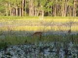  Deep Woods Road - Photo 10