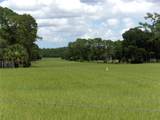  Deep Woods Road - Photo 12