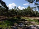  Deep Woods Road - Photo 14