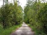  Deep Woods Road - Photo 16