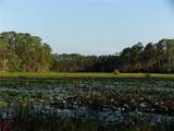  Deep Woods Road - Photo 24