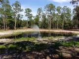  Deep Woods Road - Photo 27