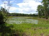  Deep Woods Road - Photo 29