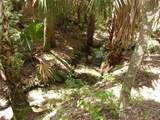  Deep Woods Road - Photo 30