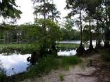  Deep Woods Road - Photo 33