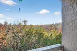 1401 Palmetto Avenue - Photo 19