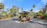 1401 Palmetto Avenue - Photo 39