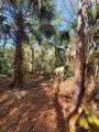 8738 Lindy Lane - Photo 7