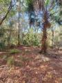 8738 Lindy Lane - Photo 9