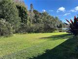 11695 Crestridge Loop - Photo 6