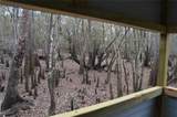 1459 743 Street - Photo 41