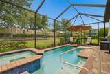 11503 Callisia Drive - Photo 51