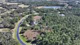 10709 Leafwing Drive - Photo 4