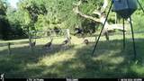 3261 Hart Road - Photo 64