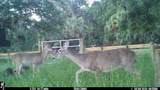 3261 Hart Road - Photo 72