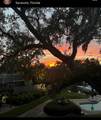 1827 Baywood Drive - Photo 49