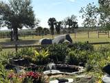 4939 Myakka Valley Trail - Photo 31