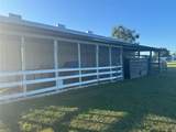 331 Highway 42 - Photo 19