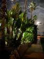 3000 Ocean Shore Boulevard - Photo 42