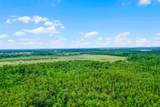  Boggy Marsh Road - Photo 13