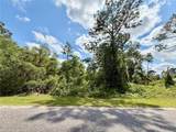 LOT 2 Quince Avenue - Photo 6
