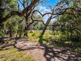 3633 Panther Path Road - Photo 6