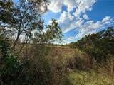 LOT 9 Fort Christmas Road - Photo 21