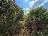 LOT 9 Fort Christmas Road - Photo 22