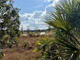 LOT 9 Fort Christmas Road - Photo 23