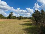 LOT 9 Fort Christmas Road - Photo 24