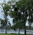 229 Lake Ida Point Drive - Photo 12