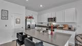 3532 White Dandelion Court - Photo 8