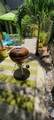 216 Pine Cone Trail - Photo 19